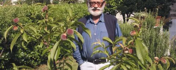 &Scaron;kodljivo preobilje slovenskega morja