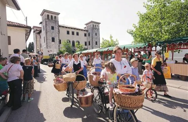 Letošnji praznik češenj bo zaznamovalo kar 50 dogodkov