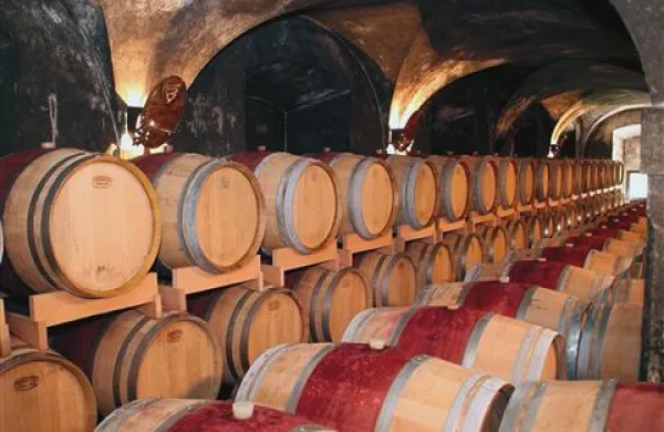    Dognanja znanstvenikov bodo izboljšala vino