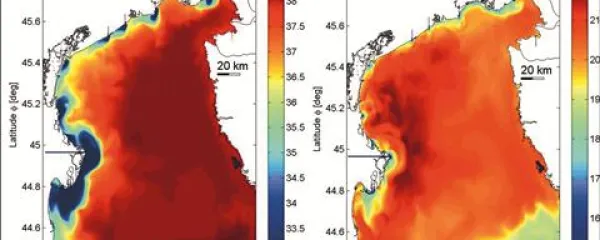 Primer rezultatov  North Adriatic Princeton Ocean Model (NAPOM) - razporeditev slanosti (levo) in temperature morja (desno) po 48 urah simulacije.