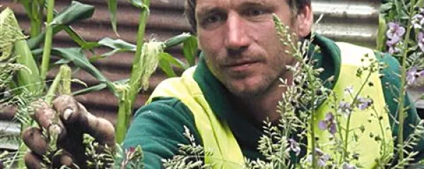 Borut Benedejčič