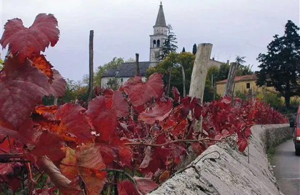 Nov davek (IVIE) bo po žepu udaril zlasti Tržačane, ki so pred leti na veliko kupovali hiše po Krasu 
