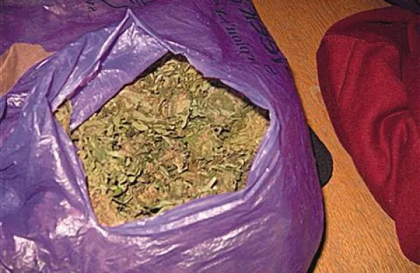 Na mejnem prehodu Starod so  zasegli 7,6 kilograma konoplje 