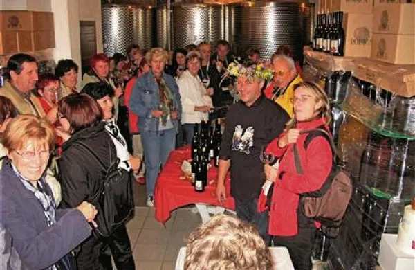 Od vinarja do oljkarja