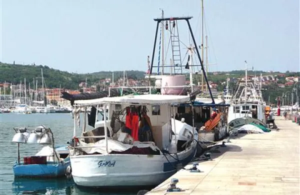 Ribiški pomol v Izoli utegne kmalu ostati prazen, brez bark