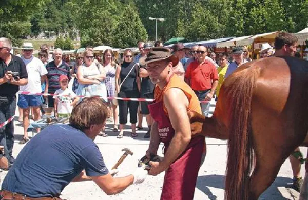 Kovač Janez Globočnik  (z leve) se konjem in kovaštvu posveča že 25 let