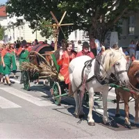 Takole je z voza, ki je prevažal čebre z grozdjem, pomahala “vinska kraljica” iz konjeniškega društva Sv. Štefan iz Vipavske doline
