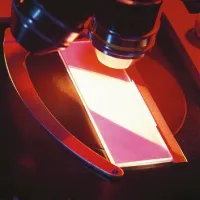 Laboratorijsko dejavnost naj bi povezali v samostojen inštitut oziroma pravno osebo