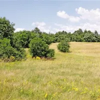 Kraški  travniki, ki še v juliju na nepokošeni travi gostijo številne žuželke, v grmovju in mejicah pa ptice, so veliko bogastvo