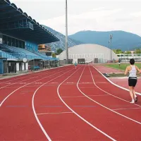 Stadion gosti predvsem treninge atletov in tekme nogometašev