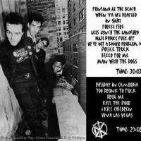 Kot ključni  punk dogodek v zgodovini Goriške je Bašin imenoval koncert ameriške skupine  Dead Kennedys, ki je bil leta 1981 v Gorici