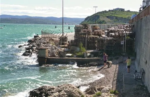 V Izoli so julija uredili pasjo plažo