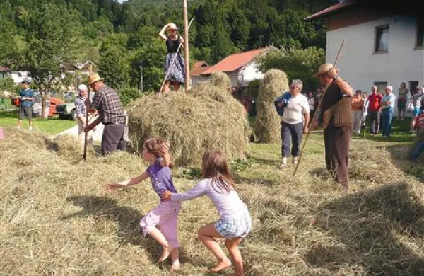 V kopah so seno  hranili do jeseni, nato so  ga spravili na varno v senike