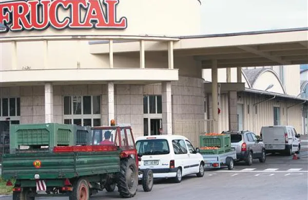 Sadjarji z breskvami v vrsti pred Fructalom; včeraj so imeli velike težave pri obiranju zaradi močne burje, na trenutke je bilo celo nevarno, saj bi lahko  prevrnilo katero od obiralnih ploščadi