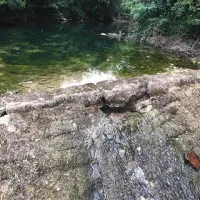 Na tem delu je nekdo prebil jez in tako zmanjšal dotok vode v ribogojnico