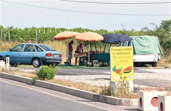 Ob cesti Belvedere-Izola prodajajo sadje in zelenjavo tudi tam, kjer občina tega ni predvidela 