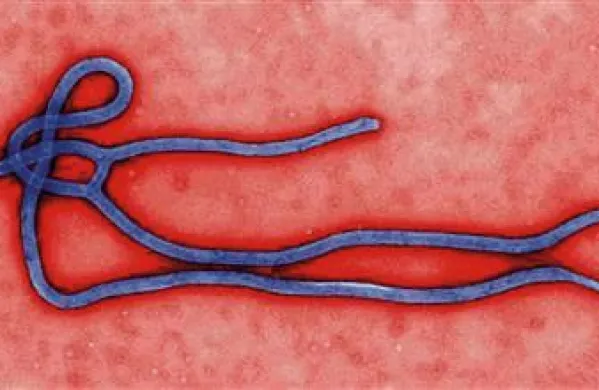 Virus ebola