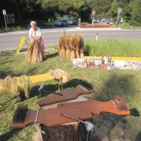 V Belskem so posejali poldrugi ar lanu, ga populili in posušili ter v soboto na prireditvi ob kozolcu predali v predelavo društvu iz Bele Krajine, da so obiskovalcem v živo pokazali, kako se ga ročno tre, smuka, češe, prede, beli, navija v klopke in tke 