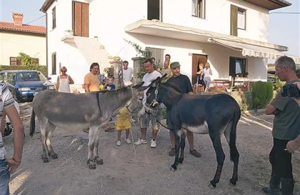 Spoznavanje pred tekmo
