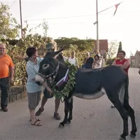 Zmagovalka oslovske dirke je prejela lovorjev venec