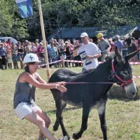 Cilj ni prvi doseči cilja, ampak po poti naleteti na čim več zapletov in ovir, da se  občinstvo zabava