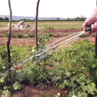 Tudi zato, ker ljudje za zalivanje njiv in vrtov vodo pobirajo iz vodotokov ...