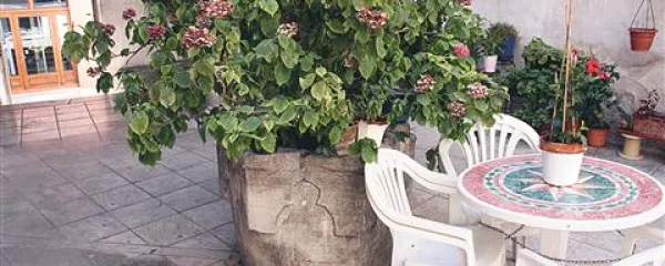 Vodnjak na dvorišču palače Carli je zasut in spremenjen v cvetlično gredico
