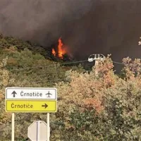 Suhi borovci požirajo ogenj kot za stavo
