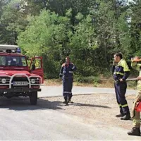 Požar požira primorske gozdove