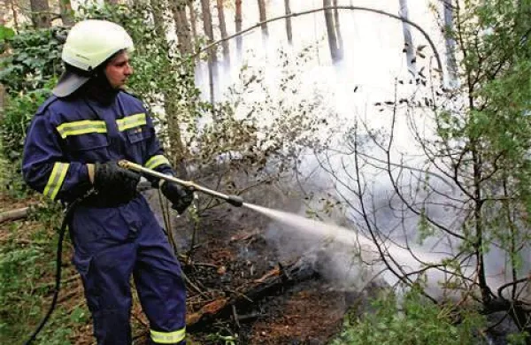 Gasilcem je uspelo zajeziti in ukrotiti ognjene zublje v Čičariji na na Kraškem robu