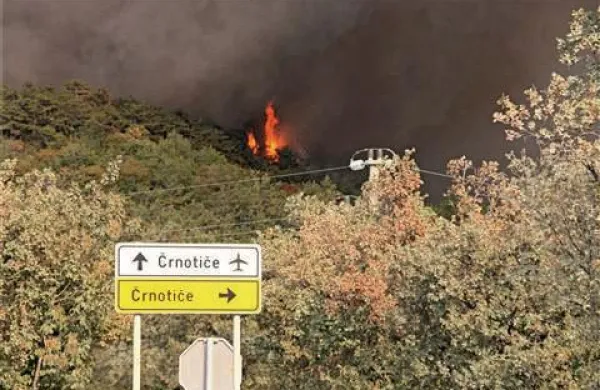 Ogenj je včeraj kar požiral suhe  borovce