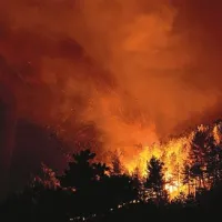 Ogenj se je v noči na soboto zelo približal viaduktu Črni Kal