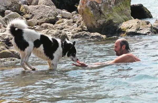 Na odmaknjenem kraju pasje kopanje z lastnikom nikogar ne moti