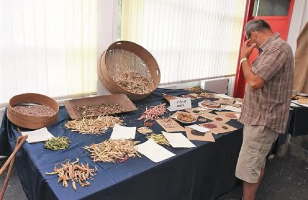 Koliko sort! V trgovini ponavadi najdemo le tri, je ugotovil marsikateri obiskovalec dutovske razstave o fižolu