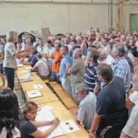 Za 312 zaposlenih v Kraškem zidarju je bil včeraj zadnji dan v tej službi. Na zavodu za zaposlovanje se bodo lahko prijavili od 5. septembra dalje, a prva denarna nadomestila lahko pričakujejo šele oktobra