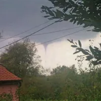 Pri Poreču so videli tudi pijavico, eno je v objektiv ujel Ivica Škondro.