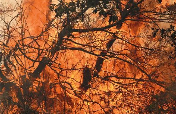 Domnevni požigalec sledil gasilcem in podtikal ogenj