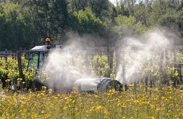 Naše vinogradnike škropljenje trte stane precej več kot sosednje italijanske 
