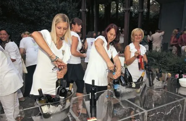Brike bodo na ljubljanskem gradu vina predstavljala že tretje leto zapored