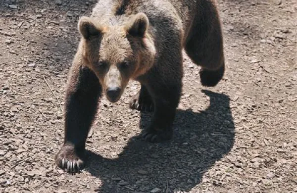 Fotografija je simbolična