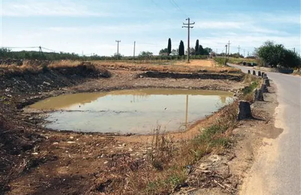 ...  takšen pa je pogled na opustošenje po  preveč temeljito opravljenih posegih 
