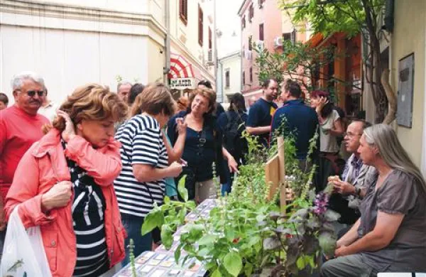 Na Ljubljanski ulici zelišča niso za okras, pač pa za uporabo