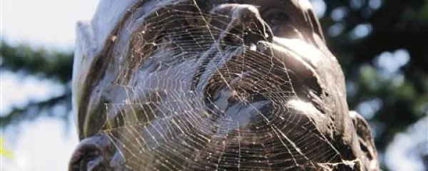 V pajčevini ravnodu&scaron;ja