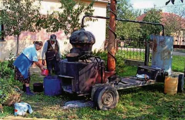 Fotografija je simbolna
