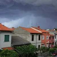 Neurje je v Izoli povzročalo preglavice