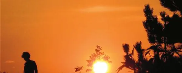 Na&scaron;la si končno svoj pravi obraz