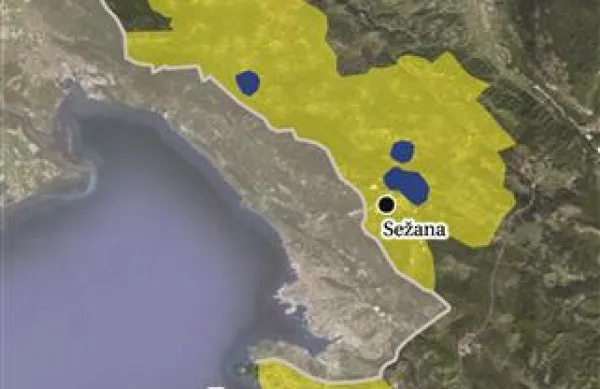 Žarišča in  varovana območja zlate trsne rumenice na Primorskem 