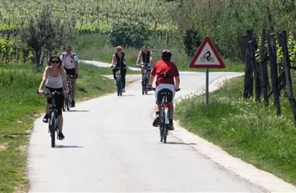 Sodeč po gneči na izolskem delu Parencane je kolesarjenje nadvse priljubljeno med Istrani  