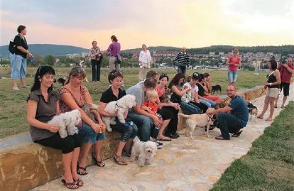 V Semedelski bandi mirno sobivajo in se družijo psi različnih pasem, od maltežanov in čivav do bulterierja, haskija, alamuta in številnih mešancev iz zavetišča