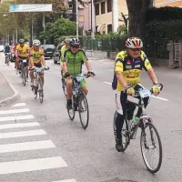 Da so leta ovira? Ni bilo videti. 